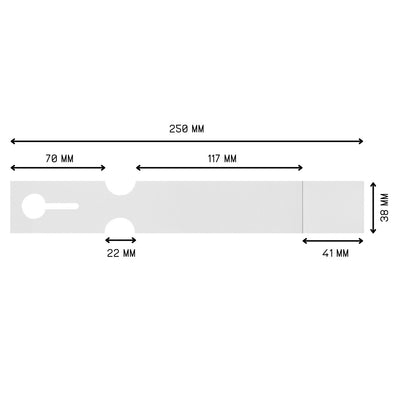 A single self-locking loop lock label, measuring 250mm x 38mm.
